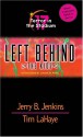 Terror in the Stadium: Witnesses Under Fire - Jerry B. Jenkins, Tim LaHaye, Chris Fabry