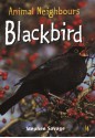 Blackbird - Stephen Savage