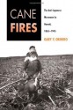 Cane Fires: The Anti-Japanese Movement in Hawaii, 1865-1945 - Gary Y. Okihiro