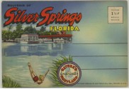 Silver Springs (1947 Souvenir Florida Postcard Folder) #D-8487 - Henry Flagler