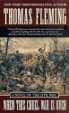 When This Cruel War Is Over: A Novel of the Civil War - Thomas J. Fleming