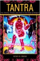 Tantra: Sex, Secrecy, Politics, and Power in the Study of Religion - Hugh B. Urban