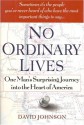 No Ordinary Lives: One Man's Surprising Journey Into the Heart of America - David Johnson