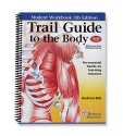 Trail Guide to the Body Student Workbook - 5th Edition by Books of Discovery - Andrew Biel, Robin Dorn