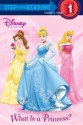 What Is a Princess? (Disney Princess) - Walt Disney Company, Atelier Philippe Harchy