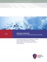 Strategic Leadership: Framework for a 21st Century National Security Strategy - Anne-Marie Slaughter, Bruce W. Jentleson, Ivo H. Daalder, Antony J. Blinken