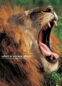 Safari in Wildest Africa - Michel Denis-Huot, Christine Denis-Huot, Michel Denis-Hout