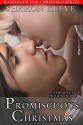 Promiscuous Christmas (Handmade for Christmas Book 4) - Sharon Kleve