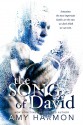 The Song of David - Amy Harmon