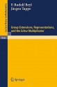 Group Extensions, Representations, and the Schur Multiplicator - F. Rudolf Beyl, Jurgen Tappe, Albrecht Dold