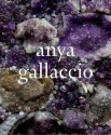 Anya Gallaccio - Jan van Adrichem