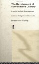 The Development Of School Based Literacy: A Social Ecological Perspective - Anthony D. Pellegrini, Lee Galda