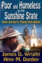 Poor and Homeless in the Sunshine State: Down and Out in Theme Park Nation - James D. Wright