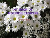 My Book of Beautiful Flowers - Joyce Burns