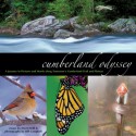 Cumberland Odyssey: A Journey in Pictures and Words Along Tennessee's Cumberland Trail and Plateau - Bill Campbell, David Brill