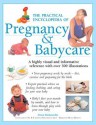 The Practical Encyclopedia Of Pregnancy Babycare - Alison Mackonochie