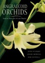 Angraecoid Orchids: Species from the African Region - Joyce Stewart, Bob Campbell