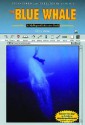 The Blue Whale: A Myreportlinks.com Book - Chris Reiter