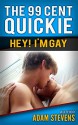 99 cent Quickie BLUE: Hey! I'm Gay (Rainbow Reader series 99 cent Quickie Blue Book 5) - Adam Stevens, Sebastian Stevens, Rylie Keoki