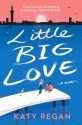 Little Big Love - Katy Regan