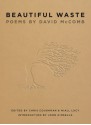 Beautiful Waste: Poems by David McComb - David McComb, Chris Coughran, Niall Lucy, John Kinsella