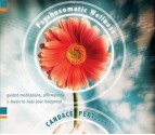 Psychosomatic Wellness: Guided Meditations, Affirmations & Music to Heal Your Bodymind - Candace B. Pert