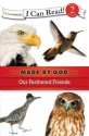 Our Feathered Friends - Mary Hassinger