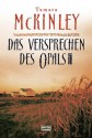 Das Versprechen des Opals: Roman (German Edition) - Tamara McKinley