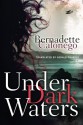 Under Dark Waters - Bernadette Calonego, Gerald Chapple