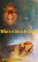 What is it like to be Crazy (Think Outside the Box) - Sha'Ra On WindWalker, Sha' Tara