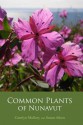 Common Plants of Nunavut - Carolyn Mallory, Susan Aiken