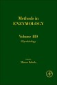 Methods in Enzymology, Volume 480: Glycobiology - Minoru Fukuda