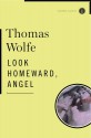 Look Homeward, Angel - Thomas Wolfe