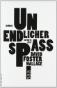 Unendlicher Spass - David Foster Wallace, Ulrich Blumenbach