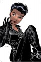 Catwoman Vol. 1: Trail of the Catwoman - Ed Brubaker, Darwyn Cooke