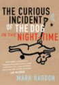 The Curious Incident Of The Dog In The Night Time - Mark Haddon