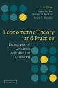 Econometric Theory and Practice: Frontiers of Analysis and Applied Research - Dean Corbae, Steven N. Durlauf, Bruce E. Hansen