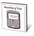 BlackBerry Fool: An Addict's Guide to Switching Off - Nicholas Bate