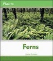 Ferns - June Loves