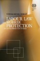 Labour Law and Worker Protection in Developing Countries - Tzehainesh" "Tekl, Adelle Blackett, Colin Fenwick, Evance Kalula, Ingrid Landau, Kamala Sankaran