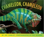 Chameleon Chameleon - Joy Cowley, Nic Bishop