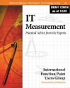 It Measurement: Practical Advice from the Experts - Edward Yourdon, Allen Rubin, Ed Yourdon, Linda L. Putnam, Capers Jones, International Function Point Users Group