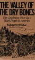 The Valley of the Dry Bones: The Conditions That Face Black People in America Today - Rudolphf R. Windsor