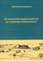 Bruszczewski zespół osadniczy we wczesnym średniowieczu - Michał Brzostowicz