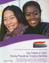 Gay People of Color: Facing Prejudices, Forging Identities - Jaime A. Seba