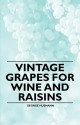 Vintage Grapes for Wine and Raisins - George Husmann, William Hardman