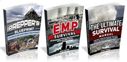 The Ultimate Survival Box Set: The Best Survival Manual on How to Save Yourself From Earthquake, EMP and Tsunami (The Ultimate Survival, The Ultimate Survival Box Set, Survival manual) - Tammy Weber, Noel Meyer, Gregorio Vance