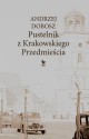 Pustelnik z Krakowskiego Przedmieścia - Andrzej Dobosz