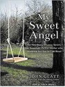 My Sweet Angel: The True Story of Lacey Spears, the Seemingly Perfect Mother Who Murdered Her Son in Cold Blood - John Glatt, Shaun Grindell