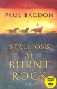 Stallions at Burnt Rock - Paul Bagdon